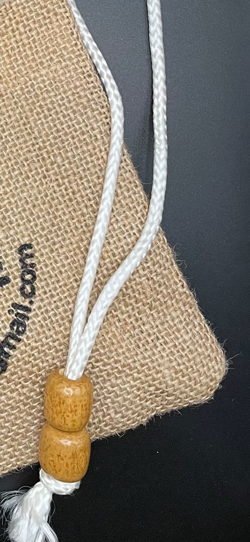 Pochette L'Amazone